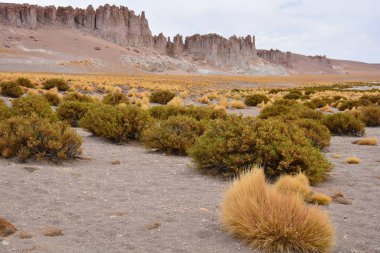 Manzara, dağlar, doğa ve bitki Atacama Çölü, Şili