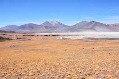 Lagün ve dağlar Atacama Çölü Şili'deki manzara