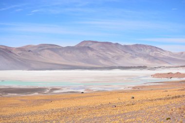 Lagün ve dağlar Atacama Çölü Şili'deki manzara