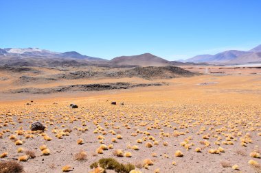 Manzara Vadisi ve Atacama Çölü Şili'deki dağlar