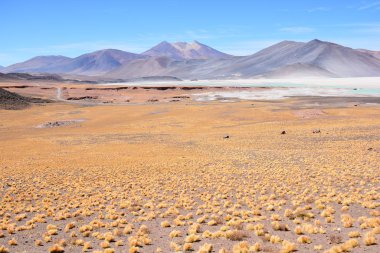 Lagün ve dağlar Atacama Çölü Şili'deki manzara