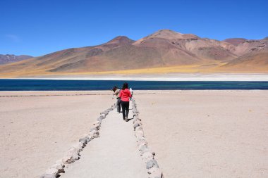 Dağlar ve lagün Atacama Çölü, Şili'deki manzara