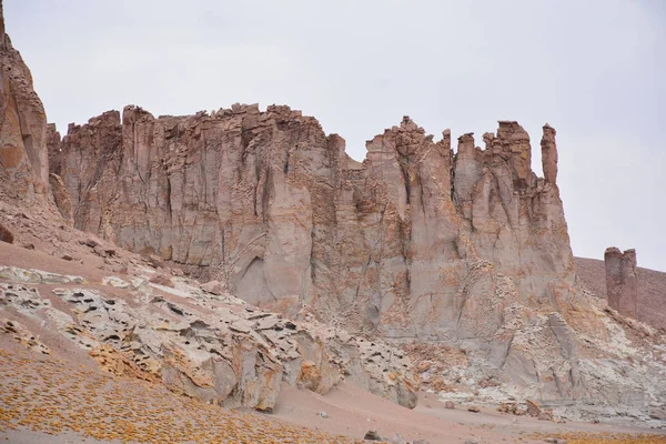 Landschaft, Berge, Natur und Pflanzen in der Atacamawüste, Chile — Stockfoto