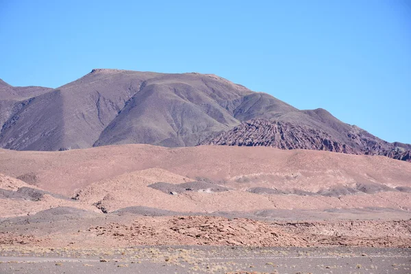 Paysage, montagnes, nature et plantes dans le désert d'Atacama, Chili — Photo