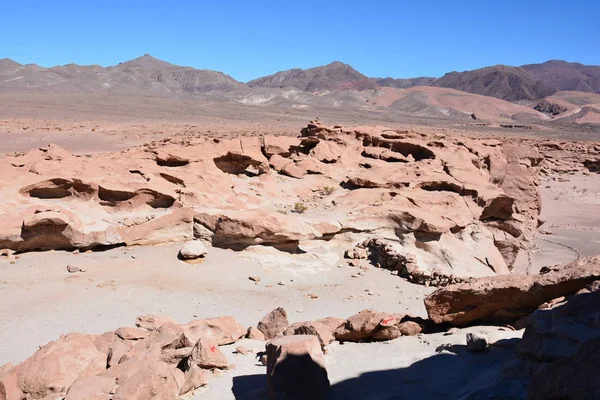 Krajina, hory, příroda a rostliny v poušť Atacama, Chile — Stock fotografie