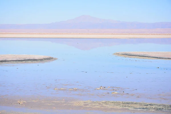 Paisaje de montañas y lagunas en el desierto de Atacama, Chile — Foto de Stock