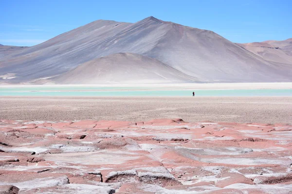 Lagün ve dağlar Atacama Çölü Şili'deki manzara
