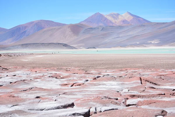 Lagün ve dağlar Atacama Çölü Şili'deki manzara — Stok fotoğraf