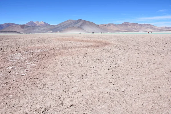 Lagün ve dağlar Atacama Çölü Şili'deki manzara