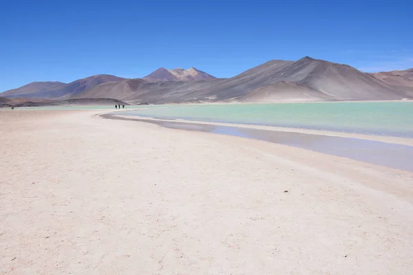 Dağlar ve lagün Atacama Çölü, Şili'deki manzara
