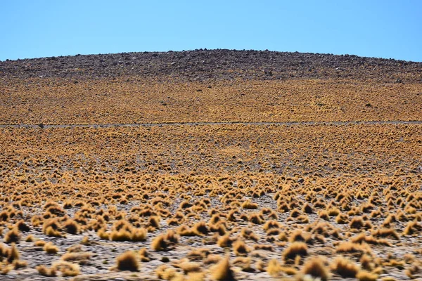 Paisaje de montaña y valle en desierto de Atacama Chile — Foto de Stock