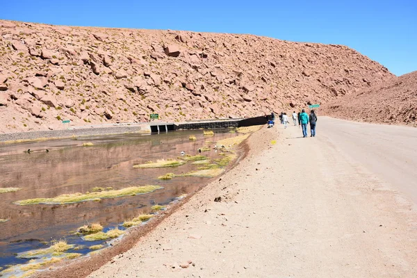 Landscape of lake,lagoon, nature and salt flats in Atacama desert Chile — Stock Photo, Image