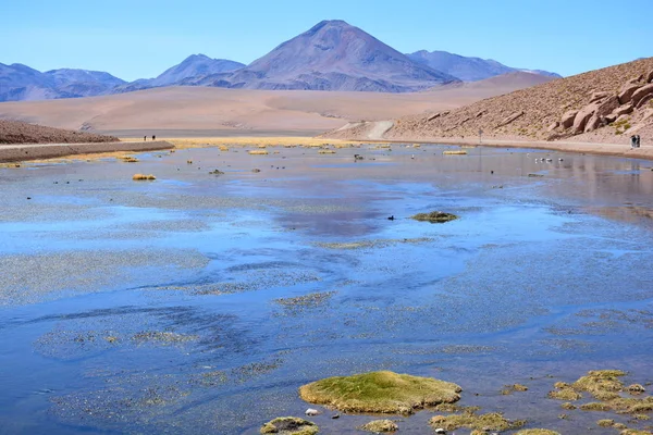 Landschap van lake, de lagune, de aard en de zoutvlakten in Atacama woestijn Chili — Stockfoto