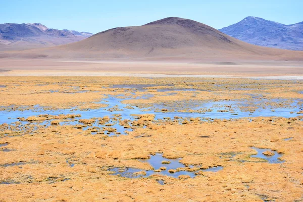 Lanskap danau, laguna, alam dan dataran garam di gurun Atacama Chili — Stok Foto