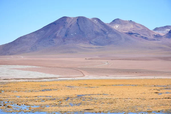 Paysage de lac, lagune, nature et salines dans le désert d'Atacama Chili — Photo