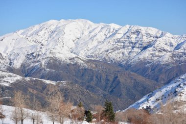 Kayak Merkezi http://www.Voices.No/mainissues/mi40008000288.php Şili