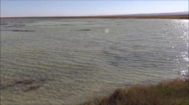 Lagün ve Şili Atacama Çölü vahşi manzara