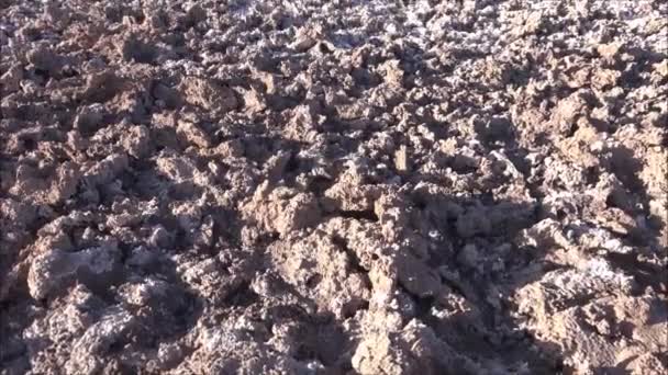 칠레 아타 카마 사막에에서 아파트 호수 소금 — 비디오