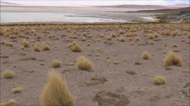 Lagün ve Şili Atacama Çölü vahşi manzara