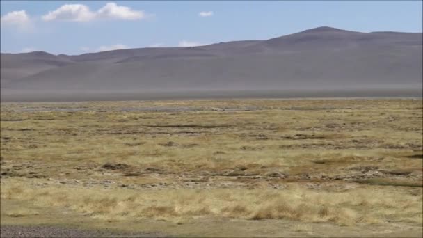 ラグーンとチリアタカマ砂漠の荒野の風景 — ストック動画