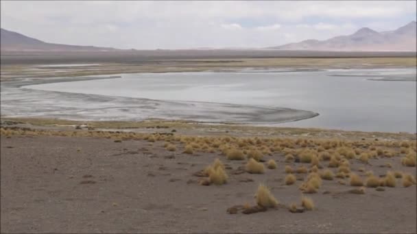 ラグーンとチリアタカマ砂漠の荒野の風景 — ストック動画