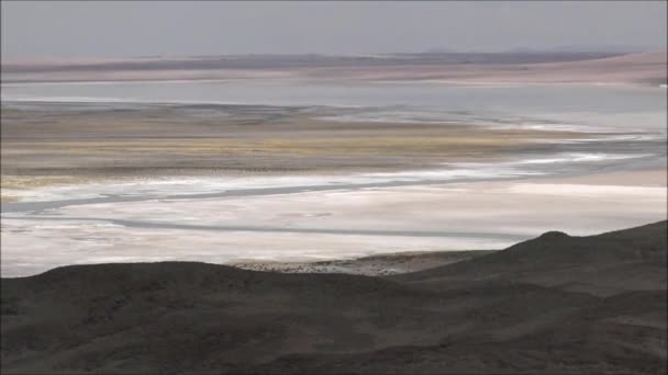 Só lakások tó a Chilei Atacama-sivatag — Stock videók