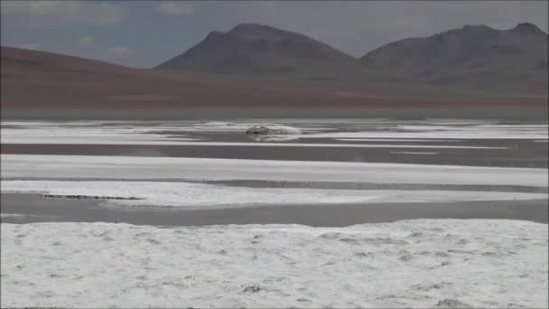 Atacama Çölü Şili gölde Flats tuz — Stok video