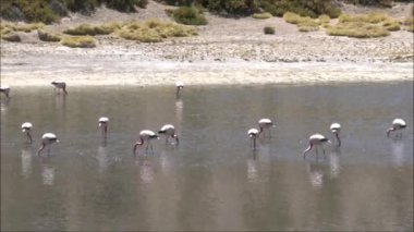 Dağlar ve lagün Atacama Çölü Şili'deki manzara