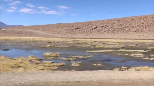 Τοπίο με βουνά και λιμνοθάλασσα στην έρημο Ατακάμα Χιλή — Αρχείο Βίντεο