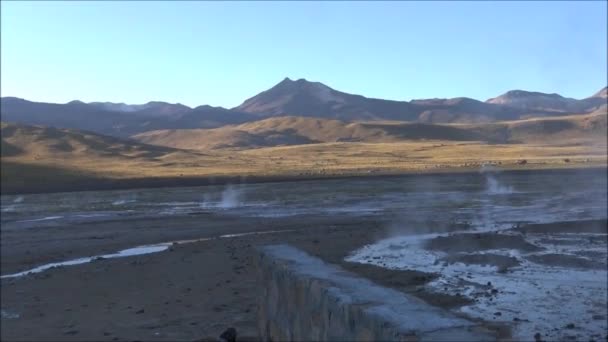 Geysers in Atacama desert Chile — Stock Video