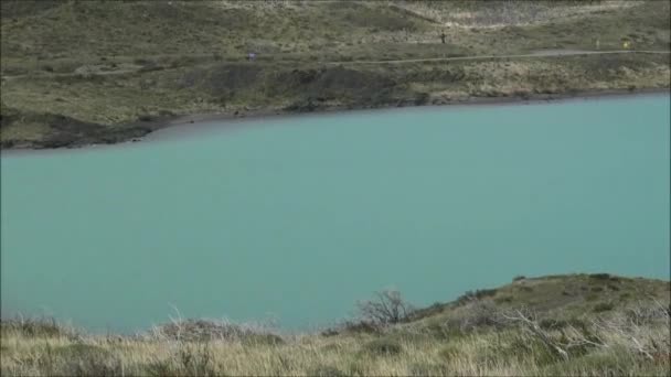 Şelaleler ve Patagonya Şili doğada — Stok video