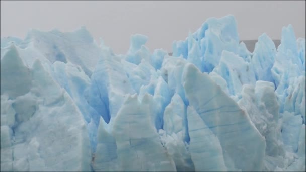 Reise zum Gletscher in Patagonien, Chile — Stockvideo