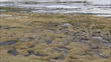 Peyzaj dağlar, göl, lagün ve doğa Atacama Çölü, Şili