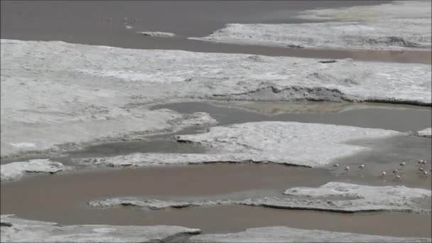 Landschap van bergen, de lake, de lagune en de natuur in de Atacama woestijn, Chile — Stockvideo