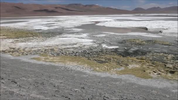 Paisagem de montanhas, lago, lagoa e natureza no deserto do Atacama, Chile — Vídeo de Stock