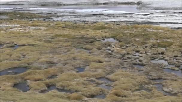 Landscape of mountains, lake,lagoon and nature in Atacama desert, Chile — Stock Video