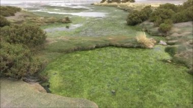 Tuz daireler ve lagün Atacama Çölü, Şili