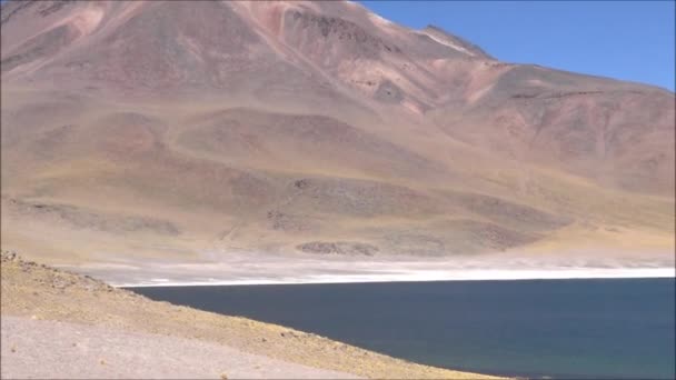 Saltängen och laguner i Atacamaöknen, Chile — Stockvideo