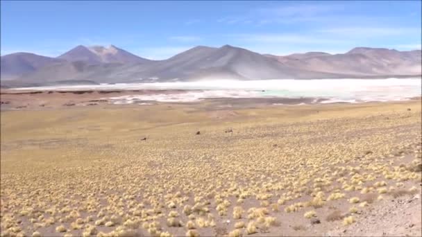 Φύσης και του τοπίου στην έρημο Ατακάμα στη Χιλή — Αρχείο Βίντεο