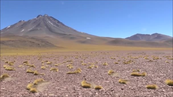 Doğa ve manzara, Şili'deki Atacama Çölü — Stok video