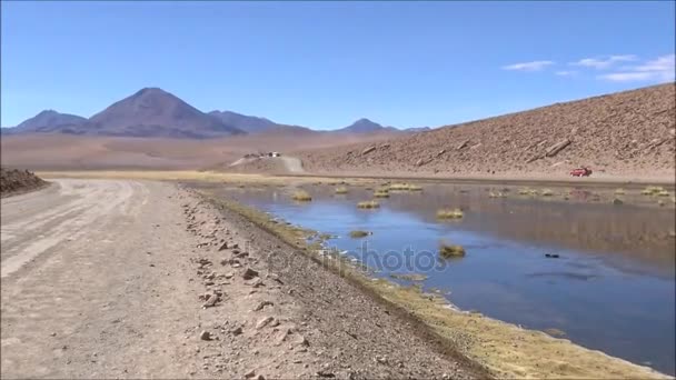 Zoutpannen en lagunes in de Atacama woestijn, Chile — Stockvideo
