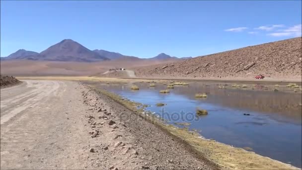 Salines et lagunes dans le désert d'Atacama, Chili — Video