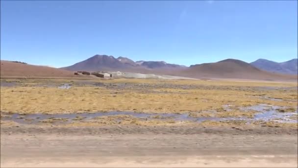 Slanisek a lagun v poušť Atacama, Chile — Stock video