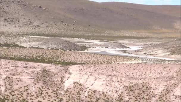 Salines et lagunes dans le désert d'Atacama, Chili — Video