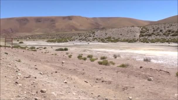 塩の平原とアタカマ砂漠、チリのラグーン — ストック動画