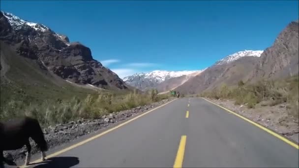 Trekking in de bergen in Chili — Stockvideo