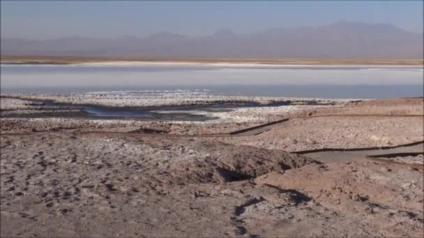 Zoutpannen en lagunes in de Atacama woestijn, Chile — Stockvideo