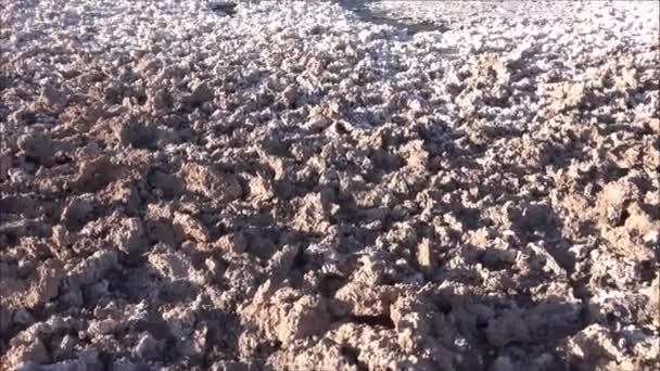 Saline e lagune nel deserto di Atacama, Cile — Video Stock