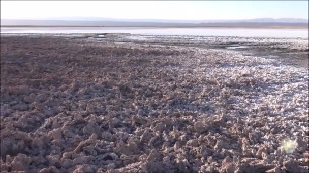 Salzebenen und Lagunen in der Atacamawüste, Chile — Stockvideo