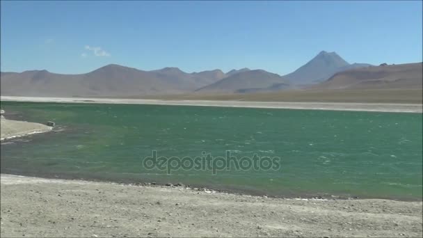 Apartamentos e lagoas de sal no deserto do Atacama, Chile — Vídeo de Stock